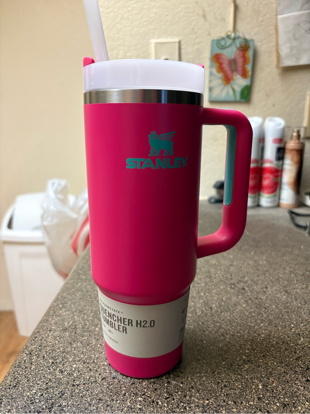 Stanley 30oz hot pink tumbler